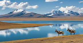 雪(xuě)域(yu)尊享西藏雙卧11日(ri)卧飛9日(ri)